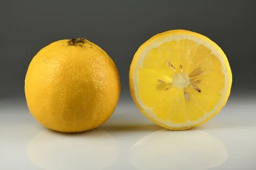 Produits de saison