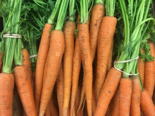 Produits de saison