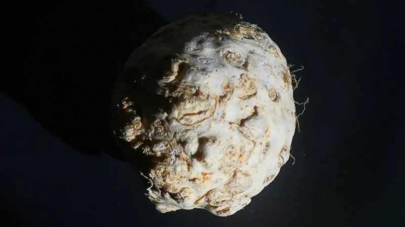Produits de saison