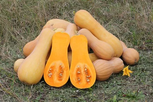 Produits de saison