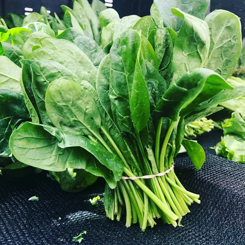 Produits de saison