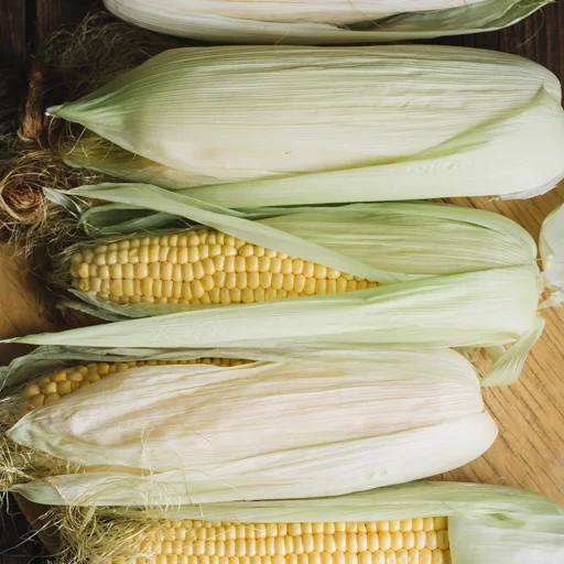Produits de saison