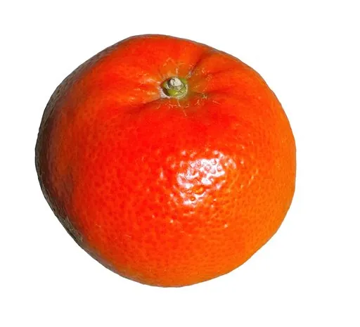 Produits de saison