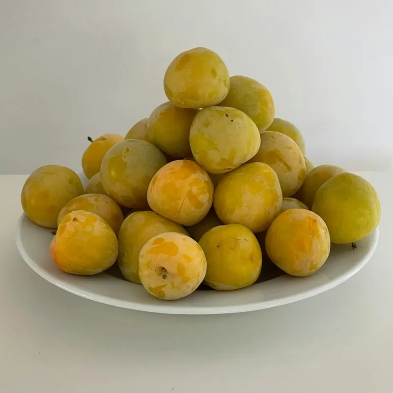 Produits de saison