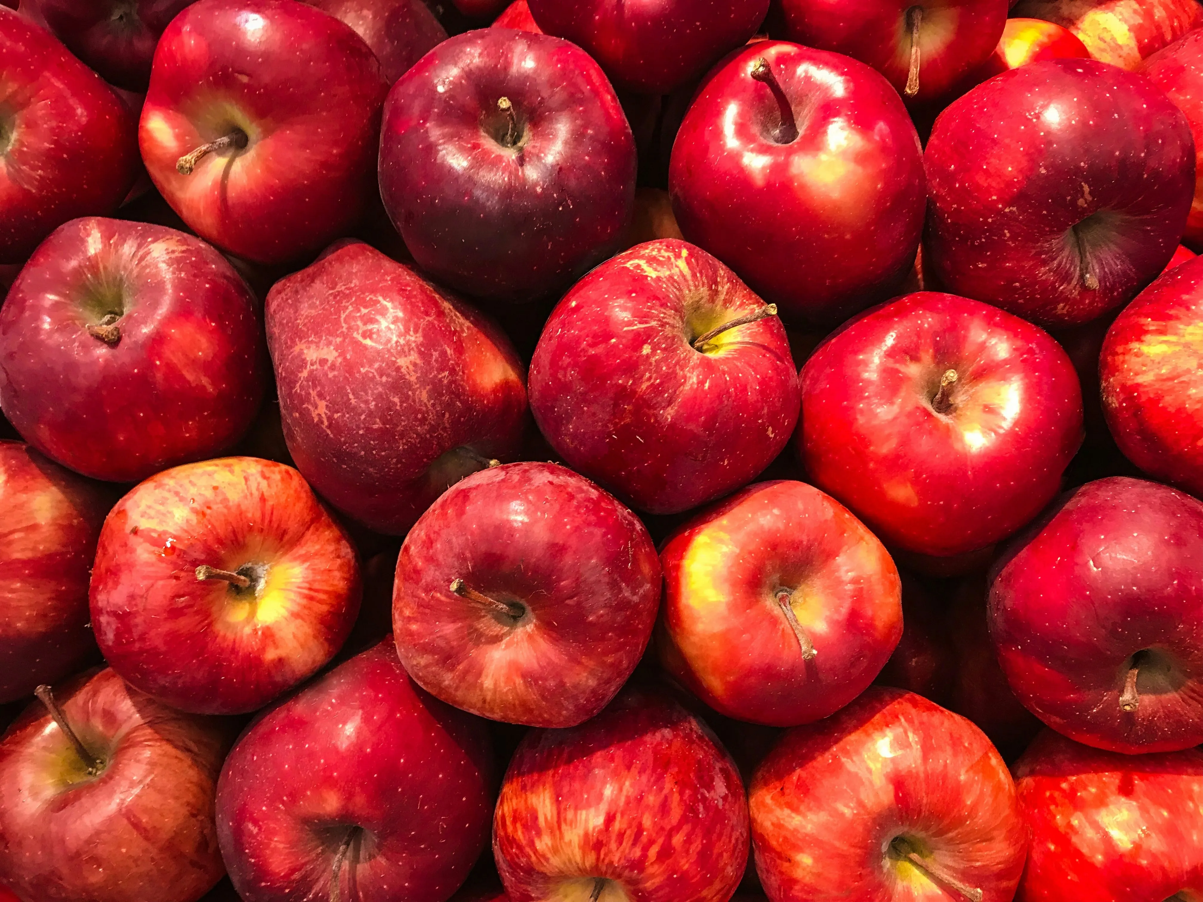 Produits de saison