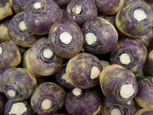 Produits de saison