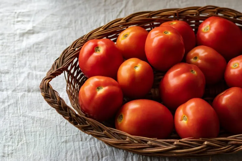 Produits de saison