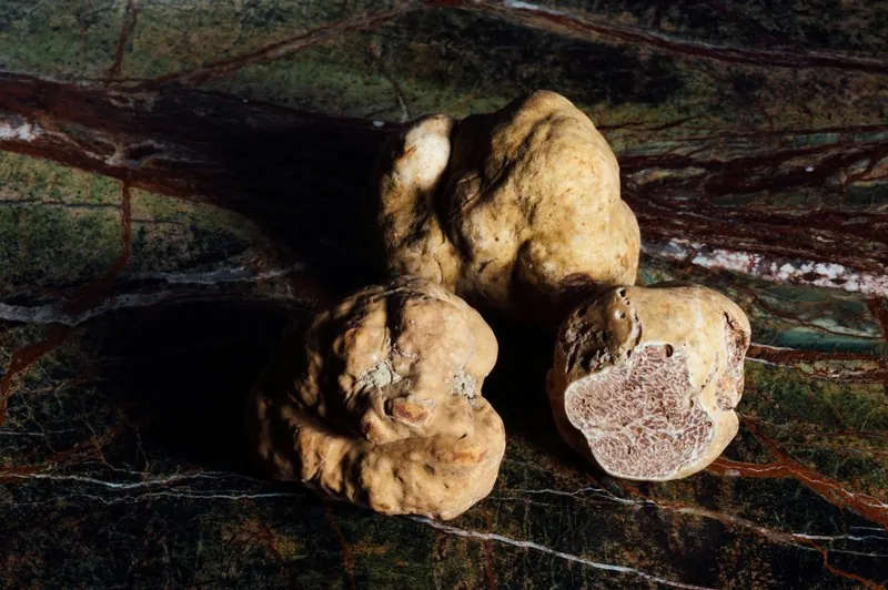 Produits de saison